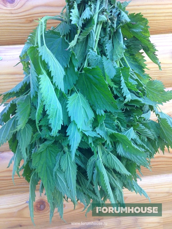 Можно ли веники из малины курам. thumb 585. Можно ли веники из малины курам фото. Можно ли веники из малины курам-thumb 585. картинка Можно ли веники из малины курам. картинка thumb 585. Привет всем любителям самоделок!