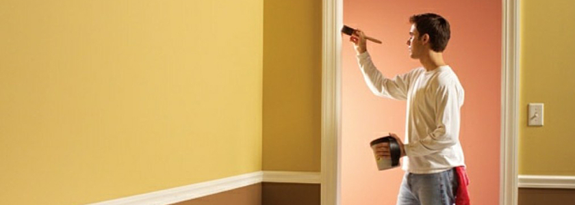 «Больше метров – меньше трат!» Dulux запускает в России необычную краску
