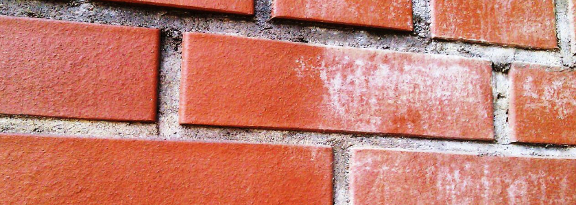 Sika выпустила новый продукт для очистки фасадов