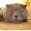 thumb_585.jpg