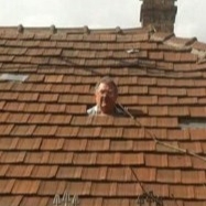 thumb_585.jpg