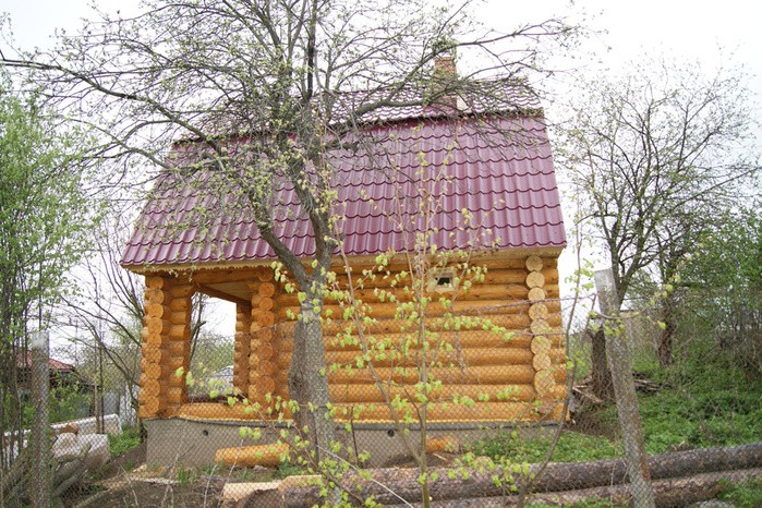 Цвет калужница для дерева фото дома