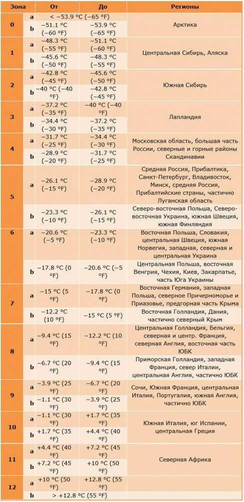 Что посадить зимой на улице. Смотреть фото Что посадить зимой на улице. Смотреть картинку Что посадить зимой на улице. Картинка про Что посадить зимой на улице. Фото Что посадить зимой на улице