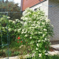 что делать на огороде в июле месяце. Смотреть фото что делать на огороде в июле месяце. Смотреть картинку что делать на огороде в июле месяце. Картинка про что делать на огороде в июле месяце. Фото что делать на огороде в июле месяце