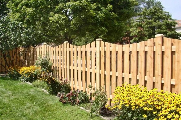 Фото деревянный проницаемый забор между участками