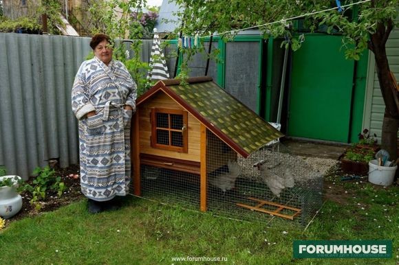 что нового на даче. Смотреть фото что нового на даче. Смотреть картинку что нового на даче. Картинка про что нового на даче. Фото что нового на даче