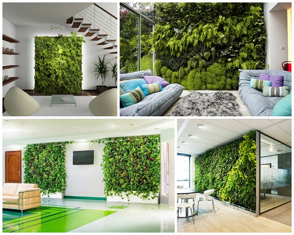 Как самому сделать живую зеленую стену из растений
