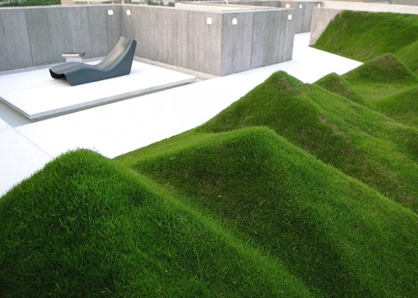 ТОП 10 идей оформление газона перед домом. Лучшие фото | Газон, Зеленый газон, Ландшафтный дизайн