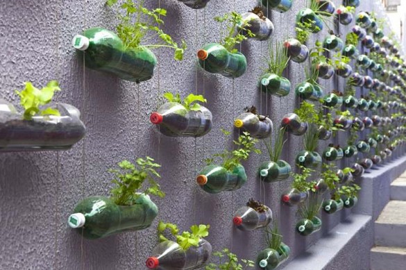 Искусство из пластиковых бутылок