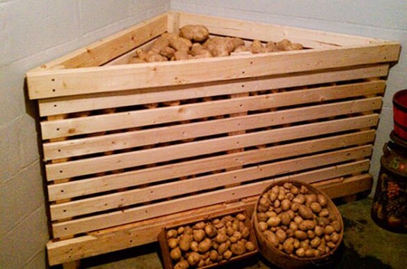 Как сделать ящик для хранения картофеля зимой