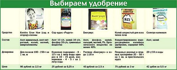 подкормка растений на даче в июле. Смотреть фото подкормка растений на даче в июле. Смотреть картинку подкормка растений на даче в июле. Картинка про подкормка растений на даче в июле. Фото подкормка растений на даче в июле
