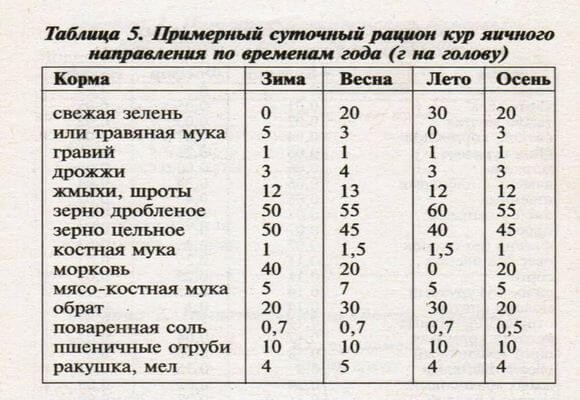 Как и чем откармливать индюков тяжелых пород – варианты рациона 🦃 | Курочка | Дзен