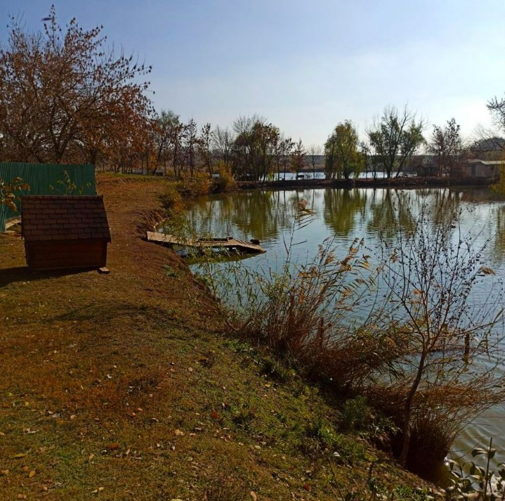 Елшанка Саратов водоём