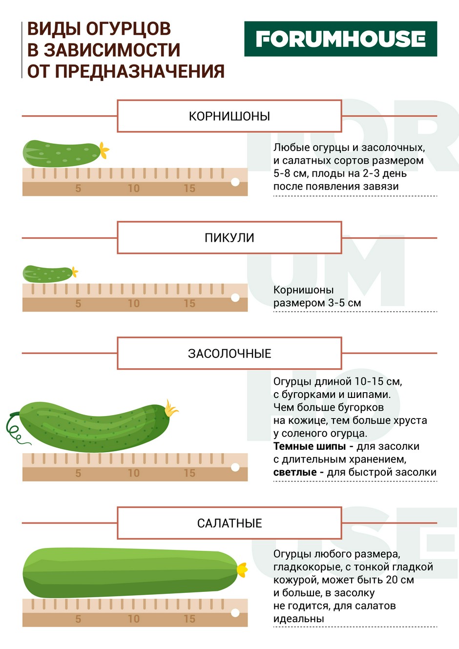 Вкусные и простые рецепты заготовок - Статья - Журнал - FORUMHOUSE