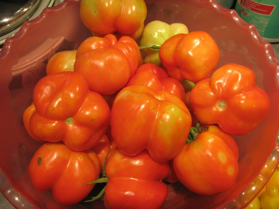 Как посадить помидоры: сорт и агротехника - Темы недели - Журнал -FORUMHOUSE