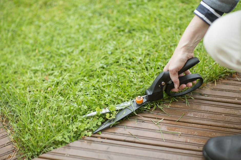 6 способов скосить траву на даче