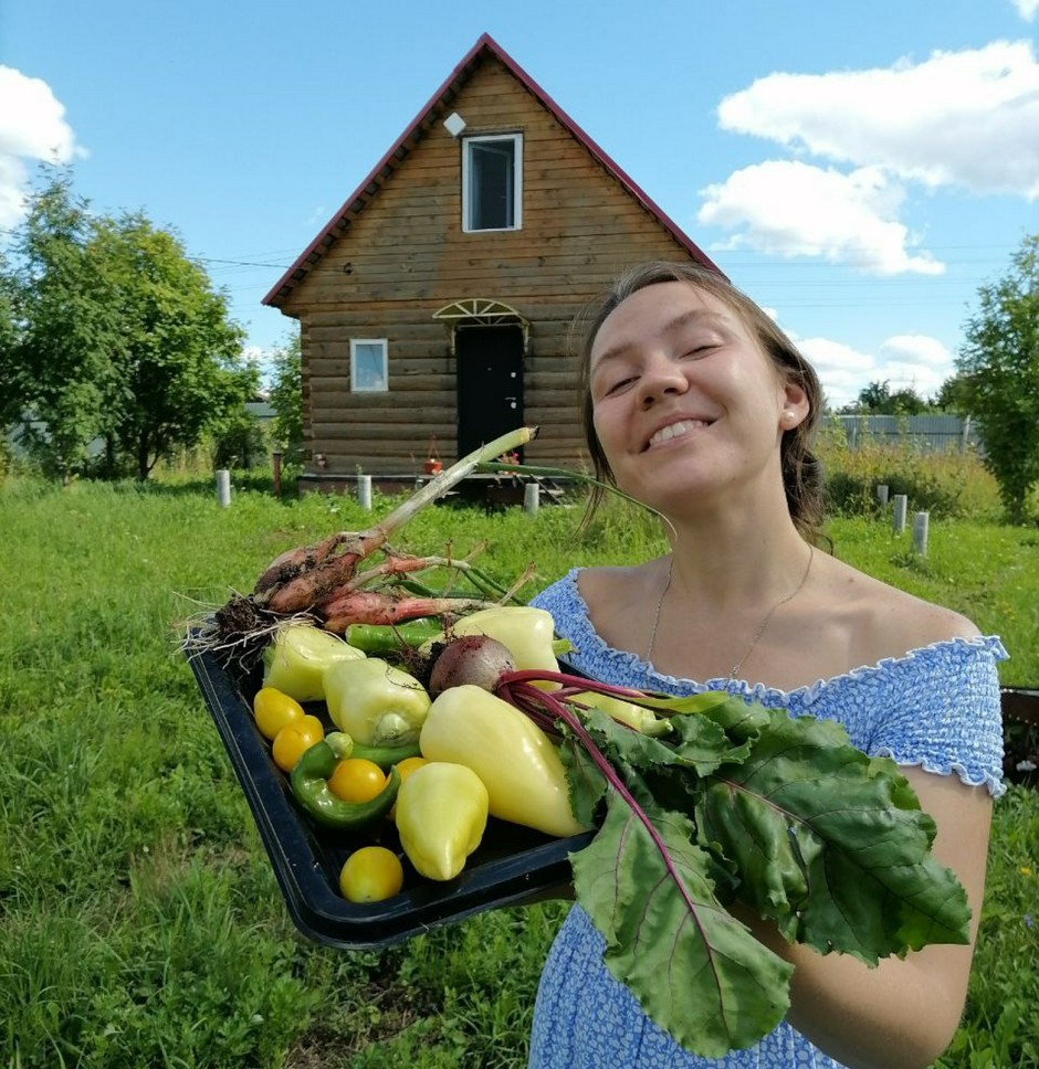 Как освоить большой участок земли? - Статья - Журнал - FORUMHOUSE