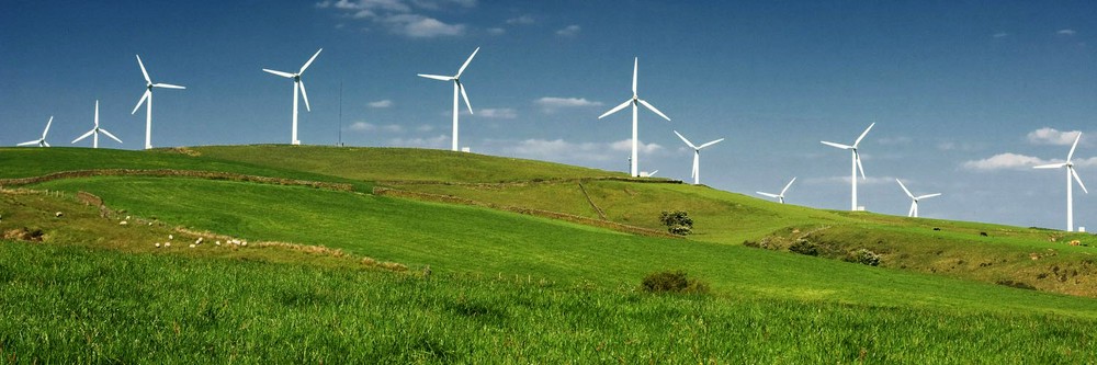 Действительно ли ветряная электроэнергия является экологически чистой?