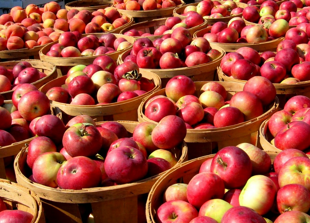 Хранение яблок зимой - Статья - Журнал - FORUMHOUSE