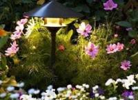 Освещение сада. Назначение и виды применяющихся ламп