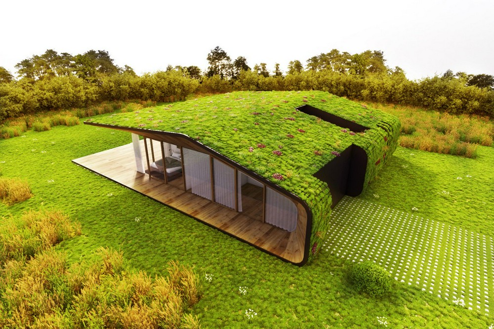 травяная крыша