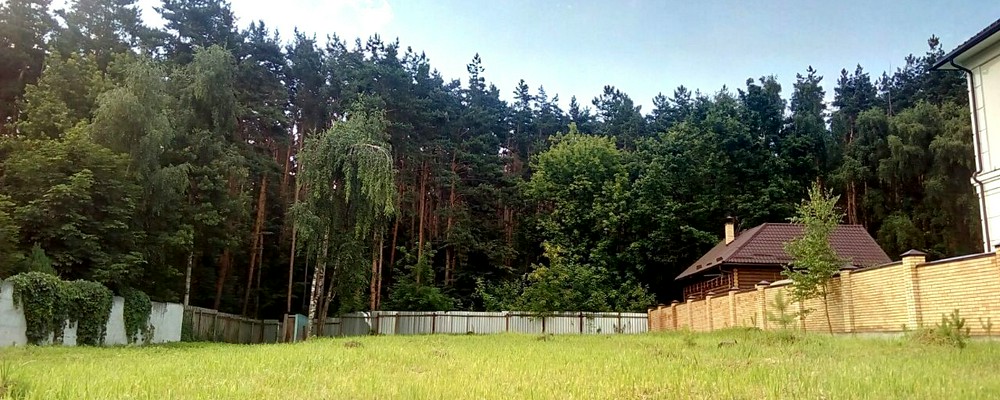 До 2 ноября дачники Подмосковья могут оспорить оценочную стоимость участка