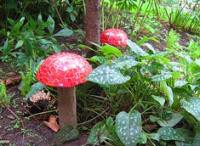 Сказочные грибы в саду