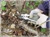 О пользе осенней обрезки растений