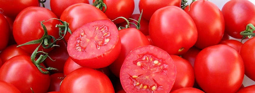 Как собрать и сохранить семена помидоров и огурцов