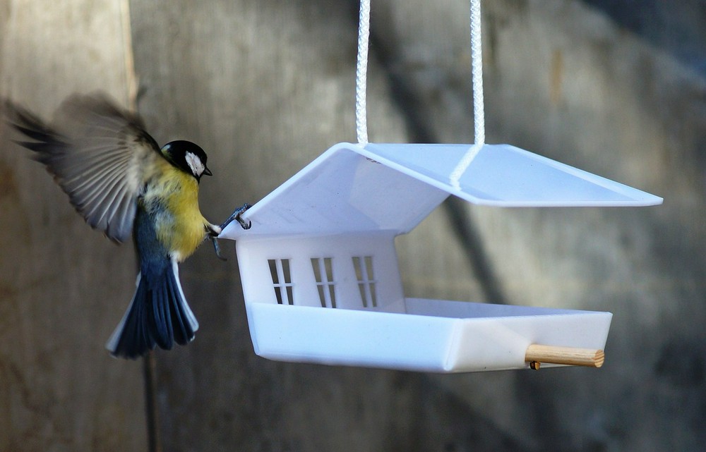 Кормушка для птиц из обычных материалов своими руками