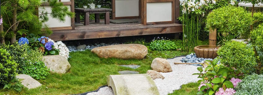Растения японского сада на вашей даче