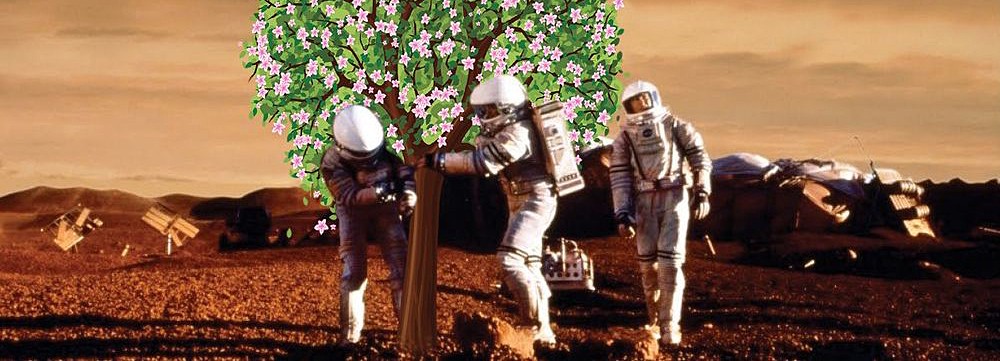 Ученые изобрели космическое удобрение