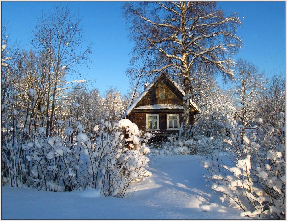 Дома в лесу зимой ( фото) - фото - картинки и рисунки: скачать бесплатно
