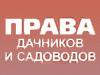 Дачные права