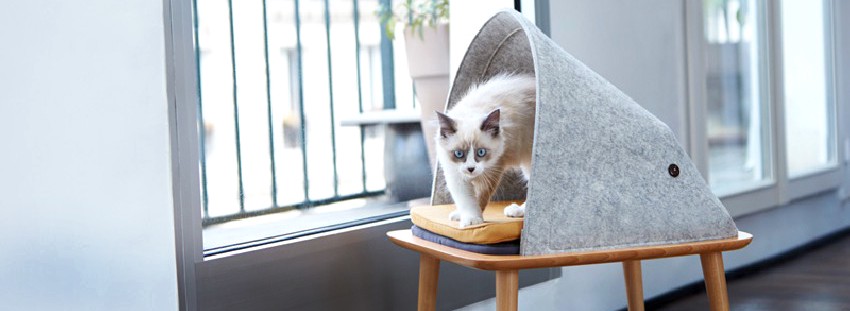Валяная мебель для кошек