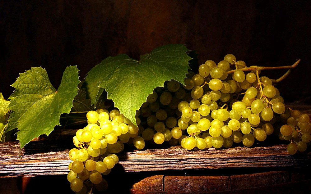 Укрываем виноград на зиму - Статья - Журнал - FORUMHOUSE