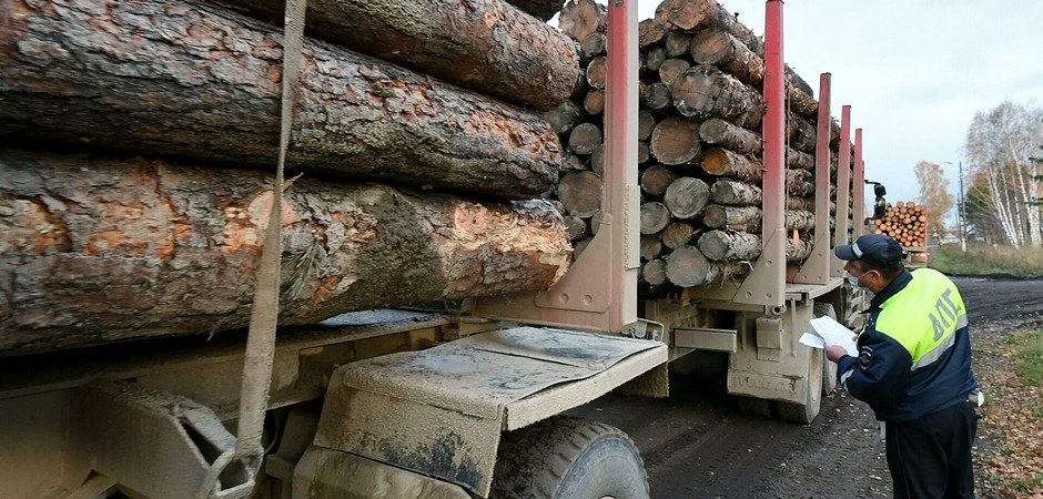 Новый штраф за перевозку древесины — 400 тысяч рублей
